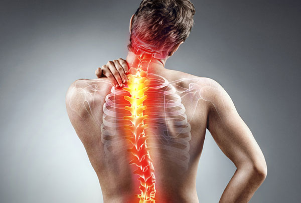 Neck and Back Pain Picture